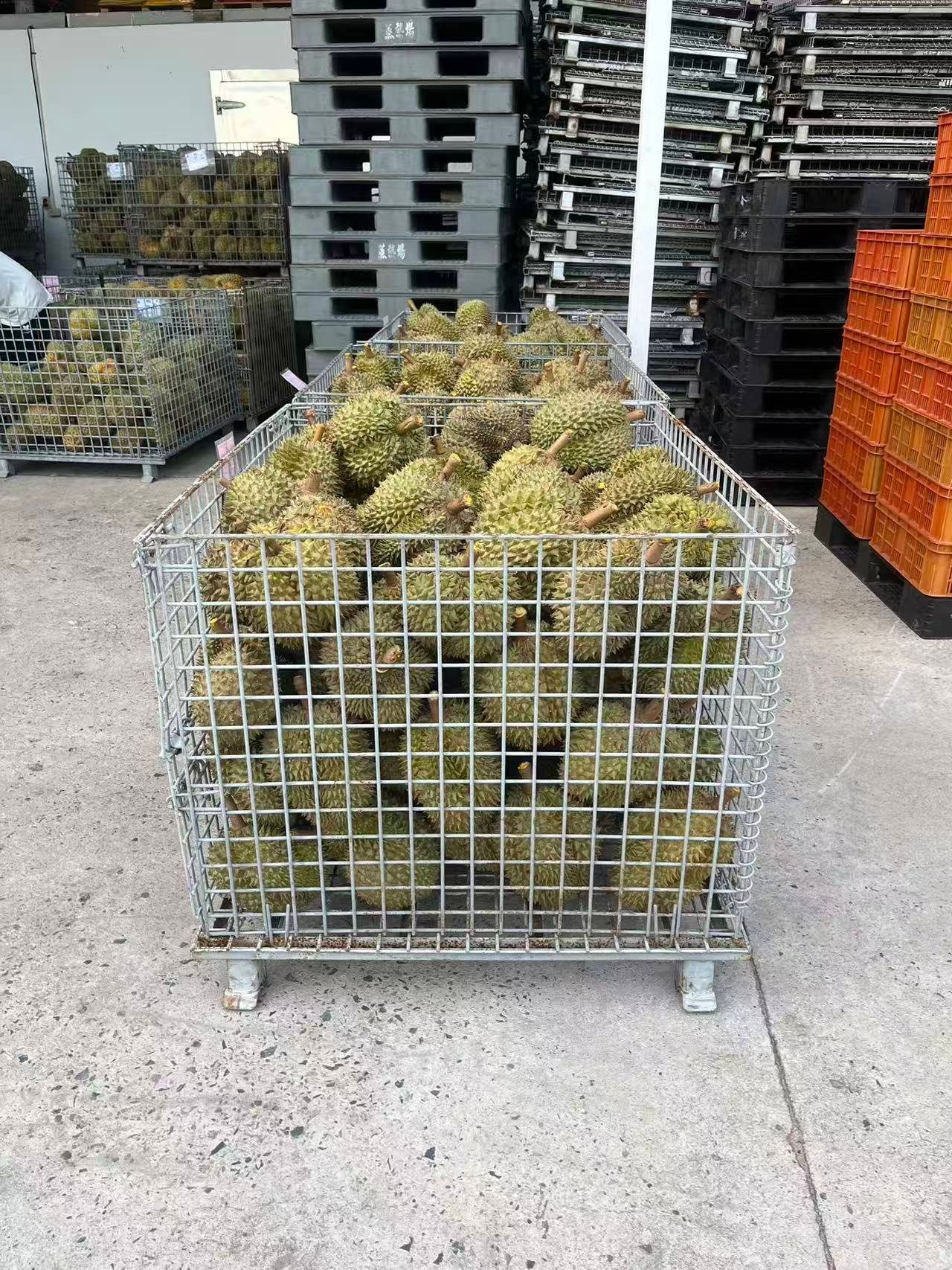 Durian storage in wire mesh cages