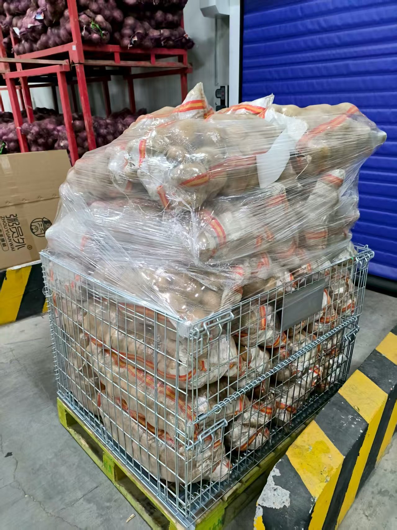 Potato Storage Wire Mesh Cage
